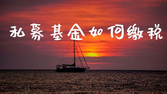 私募基金如何缴税_https://m.ycdhulan.com_国际金融_第1张