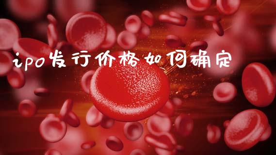 ipo发行价格如何确定_https://m.ycdhulan.com_国际金融_第1张