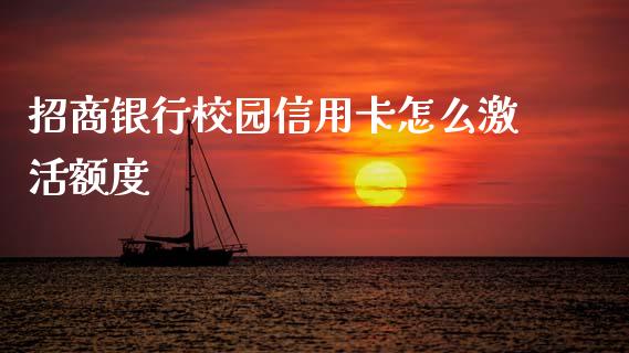 招商银行校园信用卡怎么激活额度_https://m.ycdhulan.com_财经要闻_第1张