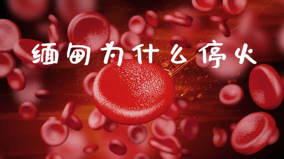 缅甸为什么停火_https://m.ycdhulan.com_期货交易_第1张