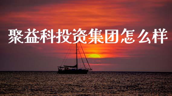 聚益科投资集团怎么样_https://m.ycdhulan.com_财经要闻_第1张