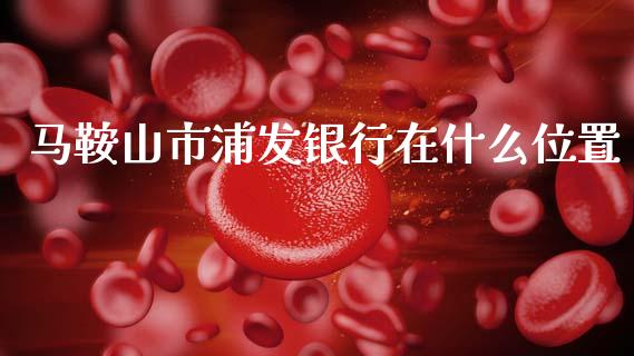 马鞍山市浦发银行在什么位置_https://m.ycdhulan.com_期货交易_第1张