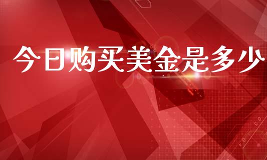 今日购买美金是多少_https://m.ycdhulan.com_国际金融_第1张