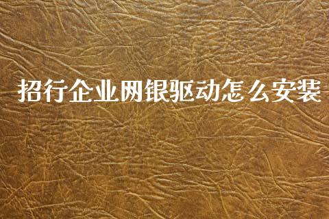招行企业网银驱动怎么安装_https://m.ycdhulan.com_国际金融_第1张