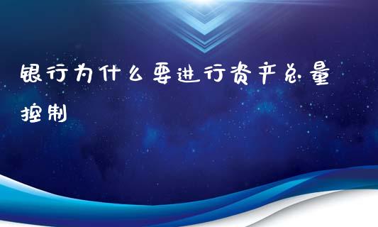 银行为什么要进行资产总量控制_https://m.ycdhulan.com_理财产品_第1张