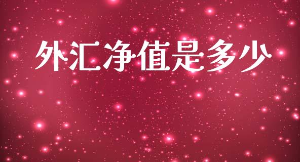 外汇净值是多少_https://m.ycdhulan.com_期货交易_第1张