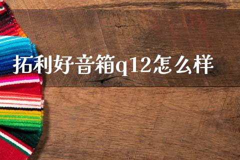 拓利好音箱q12怎么样_https://m.ycdhulan.com_理财产品_第1张