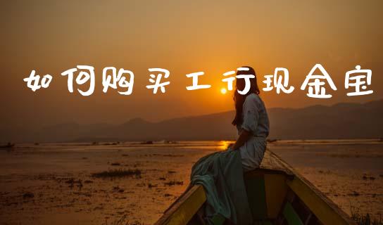如何购买工行现金宝_https://m.ycdhulan.com_期货交易_第1张