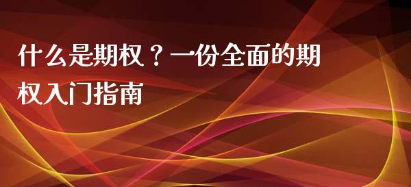 什么是期权？一份全面的期权入门指南_https://m.ycdhulan.com_国际金融_第1张