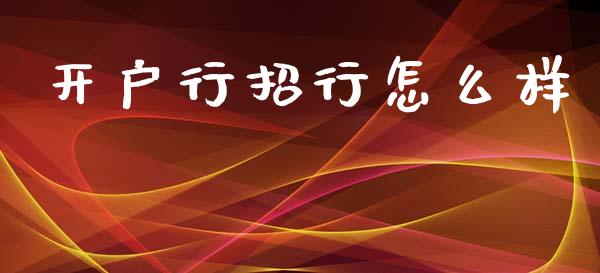 开户行招行怎么样_https://m.ycdhulan.com_理财产品_第1张