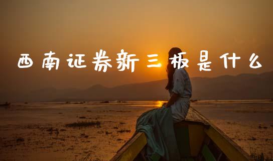 西南证券新三板是什么_https://m.ycdhulan.com_理财产品_第1张