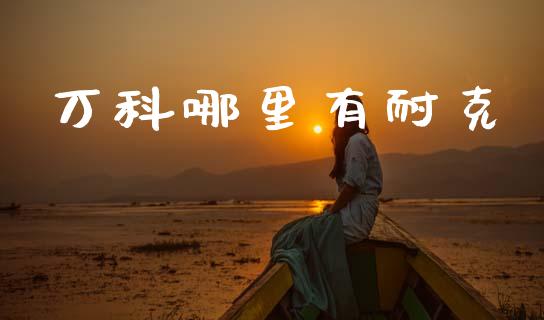 万科哪里有耐克_https://m.ycdhulan.com_财经要闻_第1张