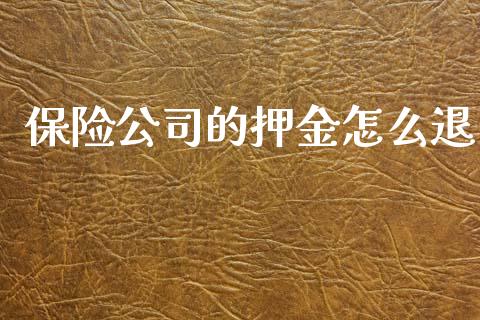 保险公司的押金怎么退_https://m.ycdhulan.com_股市在线_第1张