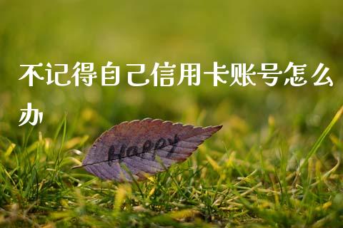 不记得自己信用卡账号怎么办_https://m.ycdhulan.com_期货交易_第1张