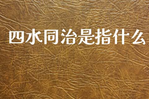 四水同治是指什么_https://m.ycdhulan.com_股市在线_第1张