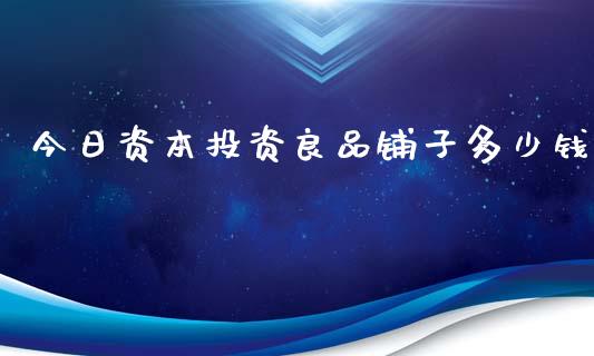 今日资本投资良品铺子多少钱_https://m.ycdhulan.com_股市在线_第1张