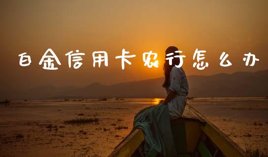 白金信用卡农行怎么办_https://m.ycdhulan.com_理财产品_第1张