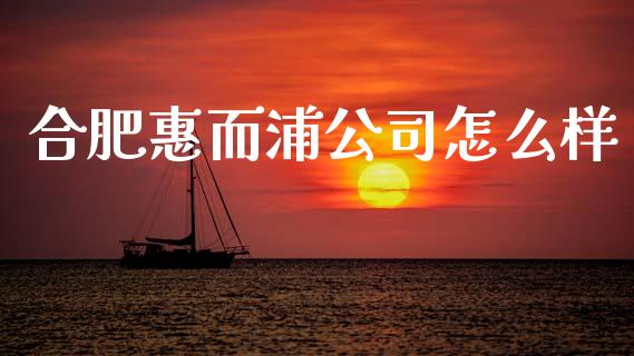 合肥惠而浦公司怎么样_https://m.ycdhulan.com_财经要闻_第1张