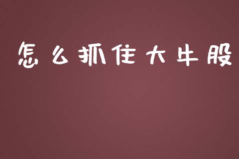 怎么抓住大牛股_https://m.ycdhulan.com_期货交易_第1张