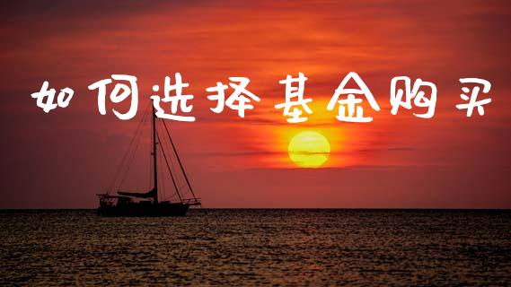 如何选择基金购买_https://m.ycdhulan.com_股市在线_第1张