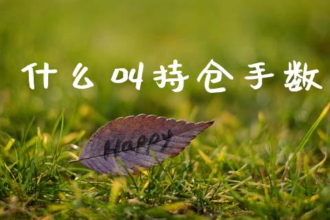 什么叫持仓手数_https://m.ycdhulan.com_财经要闻_第1张