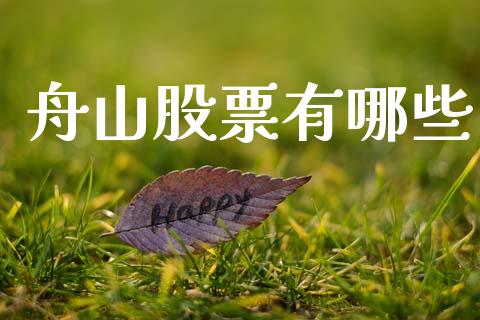 舟山股票有哪些_https://m.ycdhulan.com_财经要闻_第1张