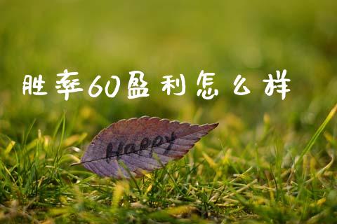 胜率60盈利怎么样_https://m.ycdhulan.com_国际金融_第1张