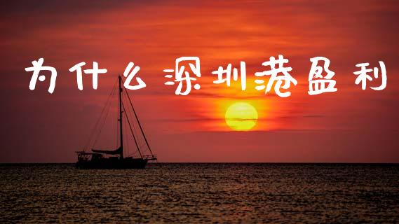 为什么深圳港盈利_https://m.ycdhulan.com_股市在线_第1张