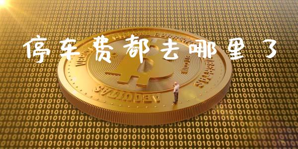 停车费都去哪里了_https://m.ycdhulan.com_股市在线_第1张