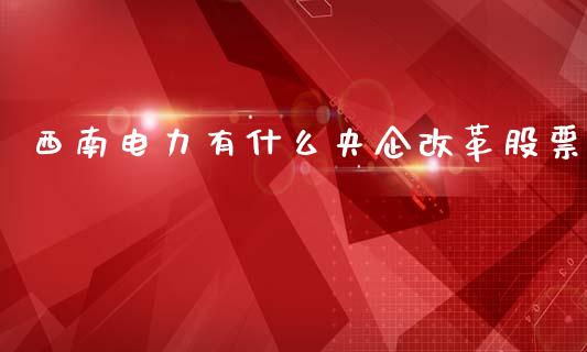 西南电力有什么央企改革股票_https://m.ycdhulan.com_期货交易_第1张