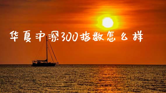 华夏沪深300指数怎么样_https://m.ycdhulan.com_期货交易_第1张
