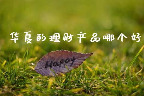 华夏的理财产品哪个好_https://m.ycdhulan.com_股市在线_第1张