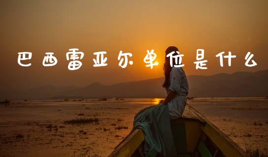 巴西雷亚尔单位是什么_https://m.ycdhulan.com_理财产品_第1张