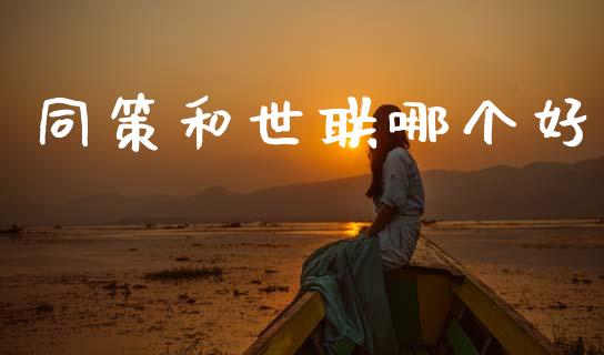 同策和世联哪个好_https://m.ycdhulan.com_股市在线_第1张