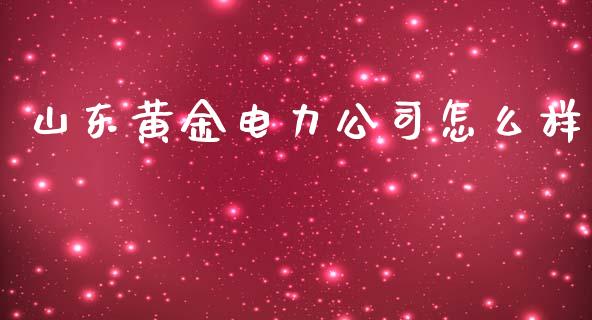 山东黄金电力公司怎么样_https://m.ycdhulan.com_财经要闻_第1张