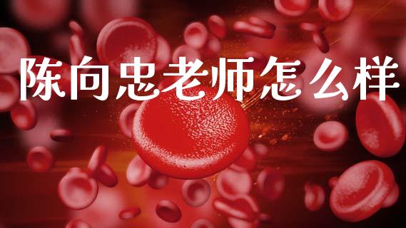 陈向忠老师怎么样_https://m.ycdhulan.com_股市在线_第1张