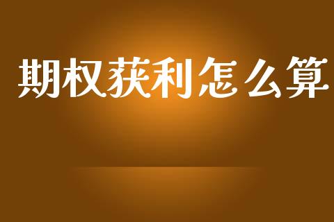 期权获利怎么算_https://m.ycdhulan.com_国际金融_第1张