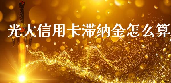 光大信用卡滞纳金怎么算_https://m.ycdhulan.com_财经要闻_第1张
