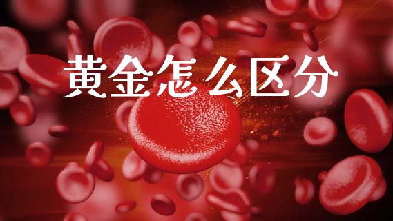 黄金怎么区分_https://m.ycdhulan.com_理财产品_第1张
