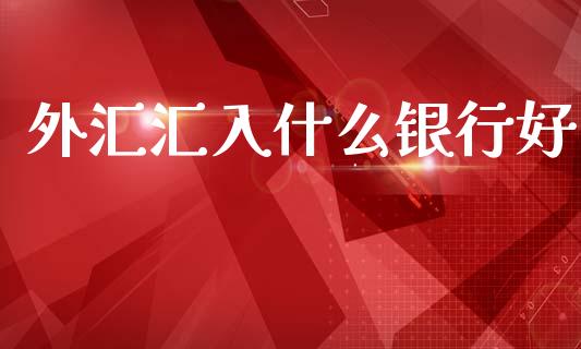 外汇汇入什么银行好_https://m.ycdhulan.com_国际金融_第1张