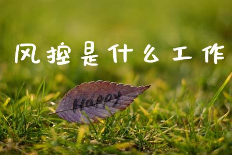 风控是什么工作_https://m.ycdhulan.com_理财产品_第1张