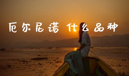 厄尔尼诺 什么品种_https://m.ycdhulan.com_证券新闻_第1张