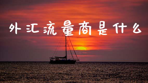 外汇流量商是什么_https://m.ycdhulan.com_国际金融_第1张
