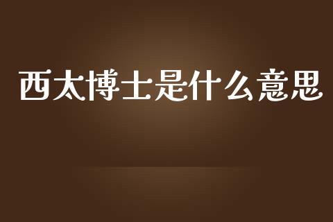 西太博士是什么意思_https://m.ycdhulan.com_财经要闻_第1张