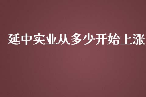 延中实业从多少开始上涨_https://m.ycdhulan.com_理财产品_第1张