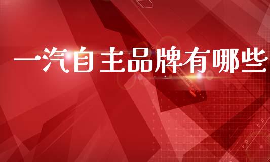 一汽自主品牌有哪些_https://m.ycdhulan.com_证券新闻_第1张