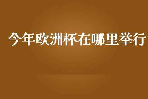 今年欧洲杯在哪里举行_https://m.ycdhulan.com_理财产品_第1张