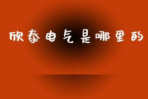 欣泰电气是哪里的_https://m.ycdhulan.com_财经要闻_第1张