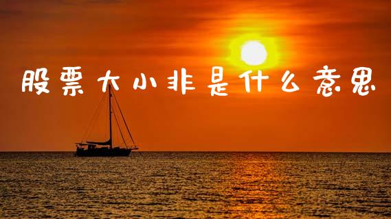 股票大小非是什么意思_https://m.ycdhulan.com_股市在线_第1张