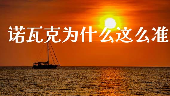 诺瓦克为什么这么准_https://m.ycdhulan.com_股市在线_第1张